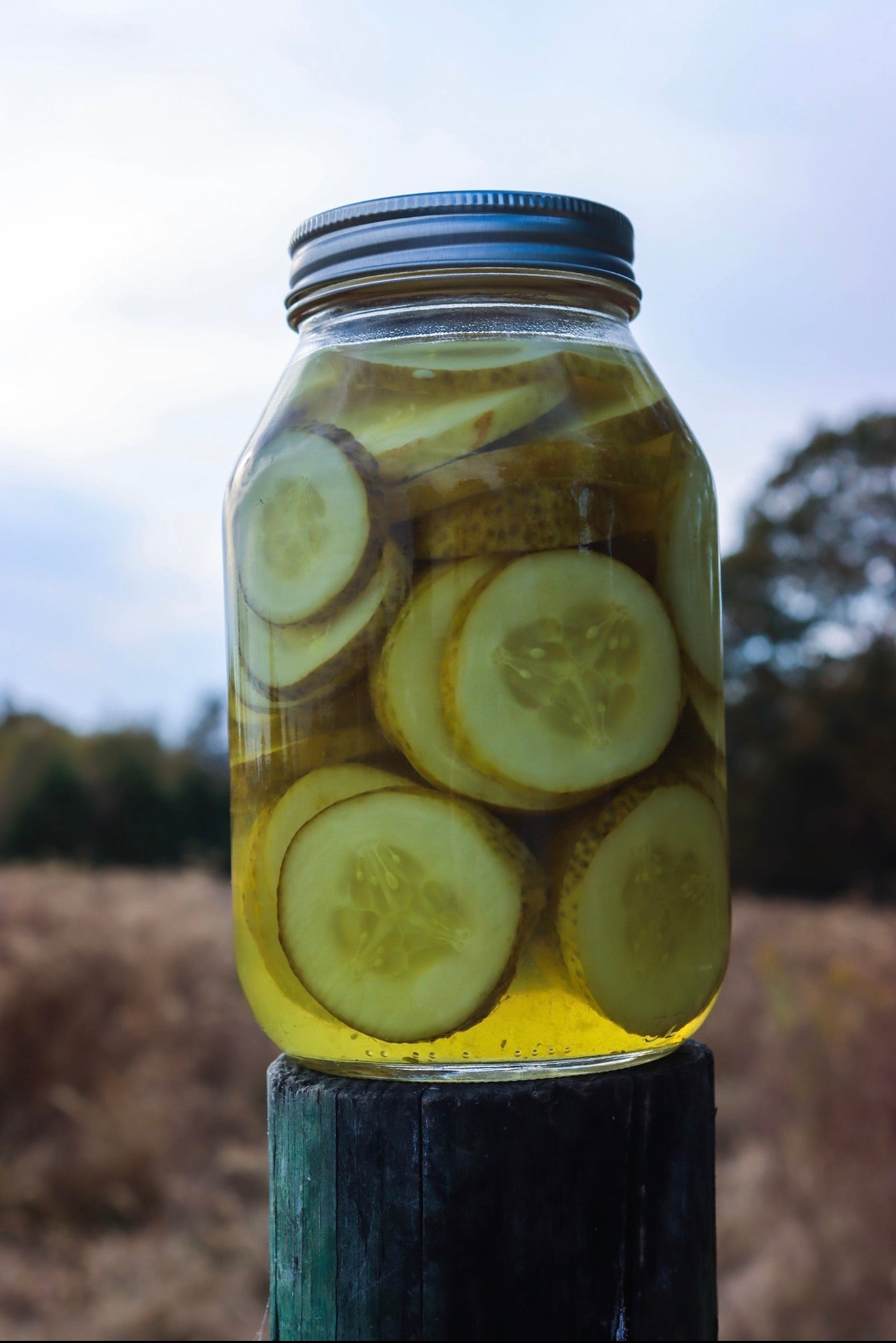 Pickle Canning Class July 6th 3-5 pm